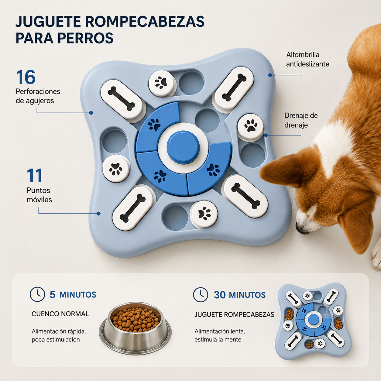 Pawly MindBowl